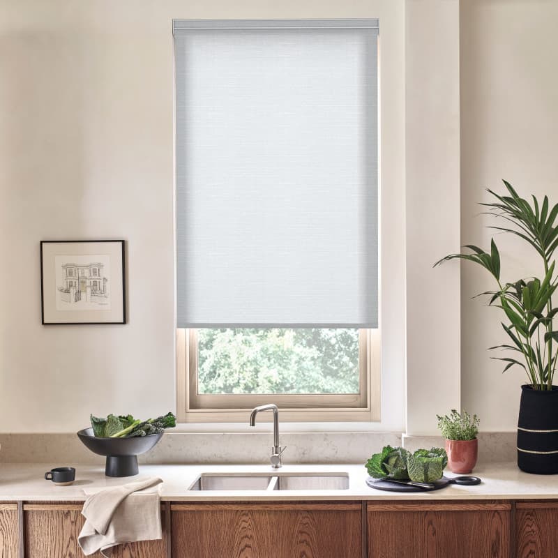 Thornbush Silver Roller blind