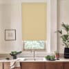 Roller window blind lowered over a kitchen window, blocking light; stainless faucet and double sink beneath, countertop with bowl of greens, potted plants and framed sketch on neutral walls.