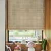 Beige, woven-pattern Roman blind lowered over a wood-framed window, filtering soft daylight; windowsill holds plants, a pink mushroom lamp, flamingo figurine, stacked books, and a garden/pool view.
the bikini book
