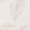 Delicate hand-drawn feather outlines float and subtly overlap against a textured off-white background, forming a repeating, wallpaper-like botanical pattern in muted beige tones.