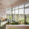 Large sunlit bay window: sheer roller blinds diffuse light across countertop lined with potted plants and fruit bowl; pale green cabinets and black granite counters in bright kitchen overlooking garden.