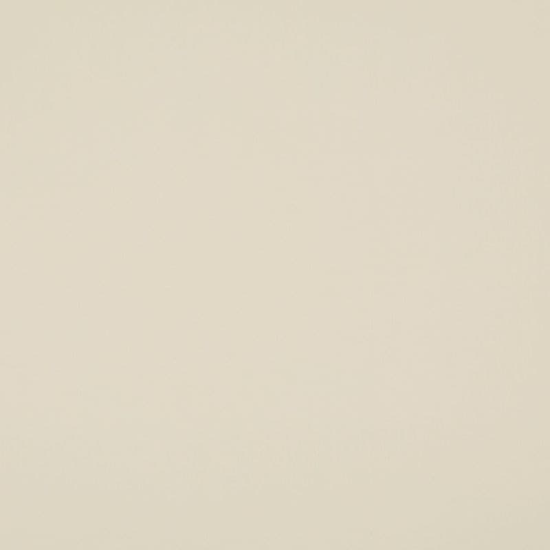 Beige flat surface — uniformly smooth and featureless — fills the frame; close-up view with soft, even neutral lighting and minimal texture or shadow.