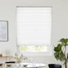 Darwin Silver Pleated blind