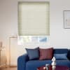 Light green cellular blind lowered across the window, filtering daylight; living-room setting with blue sofa, colored cushions, floor lamp, small table and wall art, exterior roof and trees visible below.