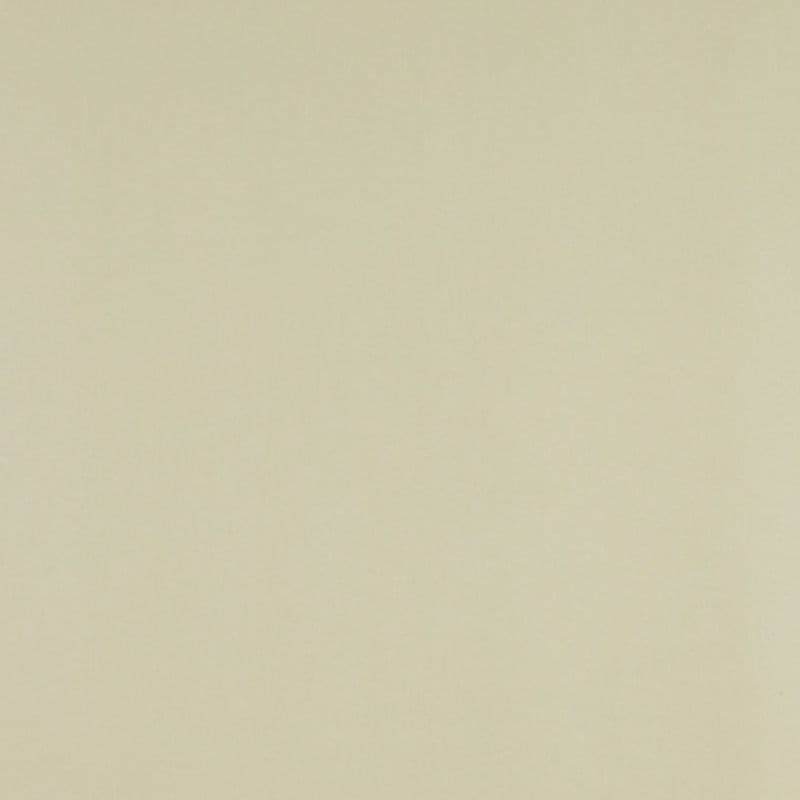 Plain cream-colored wall: smooth, matte surface occupying the entire frame, evenly lit and featureless, suggesting an interior wall or sheet of paper under soft, diffuse lighting.