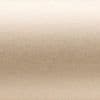 Beige brushed-metal surface with subtle horizontal grain — displaying a gentle light-to-dark gradient — evenly lit, flat background resembling satin fabric or a metallic panel.