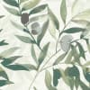 Eucalyptus branches arch across the frame, bearing rounded seed pods and elongated leaves painted in loose watercolor strokes, set against a pale, textured paper-like background of soft green tones.