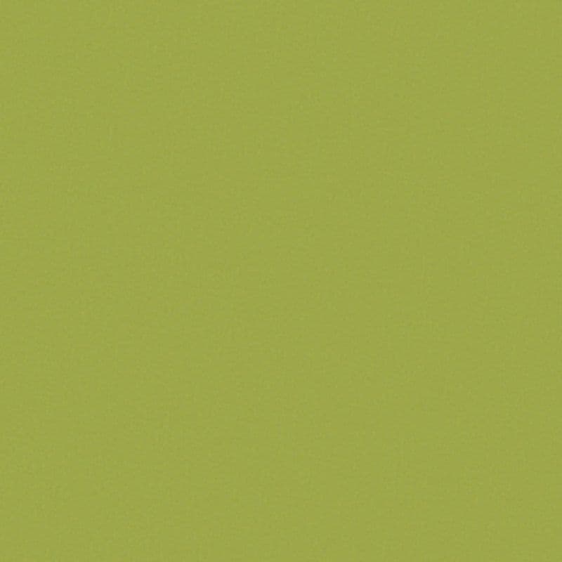 Lime-green textured surface — fills the frame, lying flat and uniform — no other objects or visible environment, evenly lit.