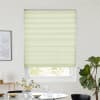 Ovie Grass Pleated blind