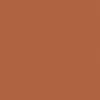 Solid rust-brown square fills the frame ; uniform, flat color with very subtle texture and no other features (context).