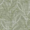 Asher Grass Roller Blind