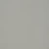 Smooth pale-gray wall, unadorned and matte, filling the frame; surface shows subtle speckling and faint shadowing; evenly lit, minimal interior close-up with no visible features or furnishings.