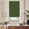 Dark green roller blind covers most of a kitchen window; stainless faucet and sink below with bowls of leafy greens, potted plants, and a framed sketch on the wall.