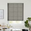 Lumina Sheer Mercury Pleated blind