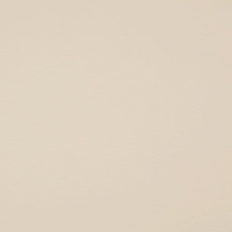 Solid pale beige wall covering fills the frame, showing subtle paper-like texture; evenly lit and static, with no additional objects or identifiable surrounding context.